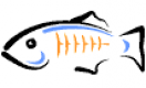 Image for the GlassFish Training in Slovenia