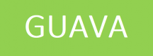 Image for the Guava Training in Slovenia