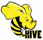 Image for the Hive Training in Slovenia